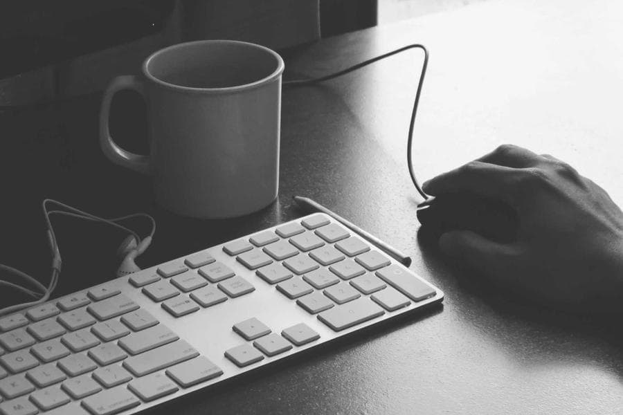 Courses & eBooks Pro Asset 24