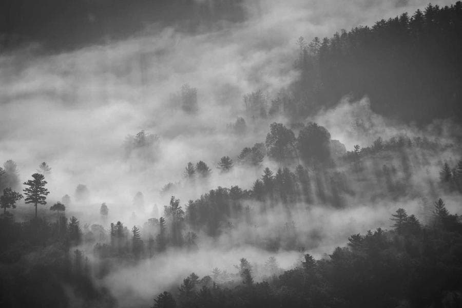 HTML Templates Pro Asset 27